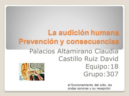 La audición humana Prevención y consecuencias