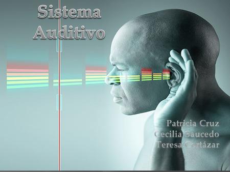 Sistema Auditivo Patricia Cruz Cecilia Saucedo Teresa Cortázar.