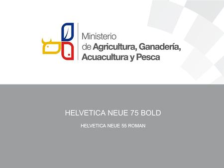 HELVETICA NEUE 75 BOLD HELVETICA NEUE 55 ROMAN. La Dirección Nacional de Comunicación del Ministerio de Agricultura, Ganadería, Acuacultura y Pesca (MAGAP),