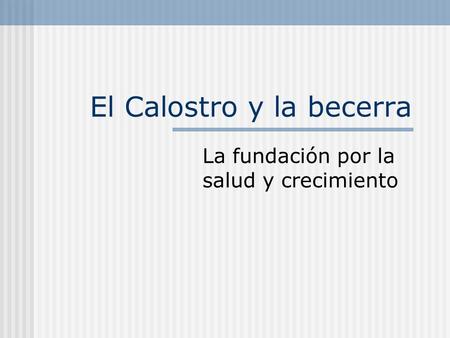 El Calostro y la becerra
