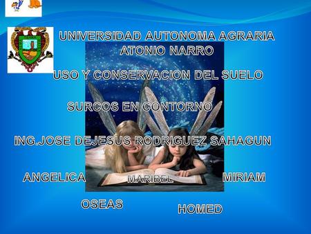 UNIVERSIDAD AUTONOMA AGRARIA ATONIO NARRO
