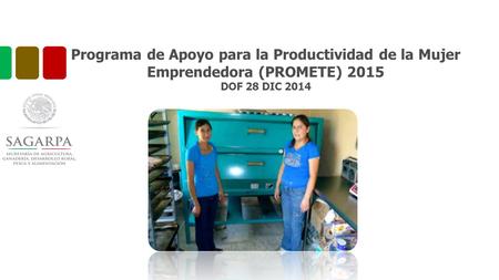 Programa de Apoyo para la Productividad de la Mujer Emprendedora (PROMETE) 2015 DOF 28 DIC 2014.