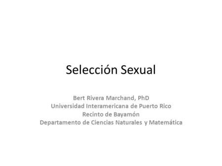 Bert Rivera Marchand, PhD