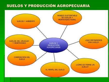 SUELOS Y PRODUCCIÓN AGROPECUARIA