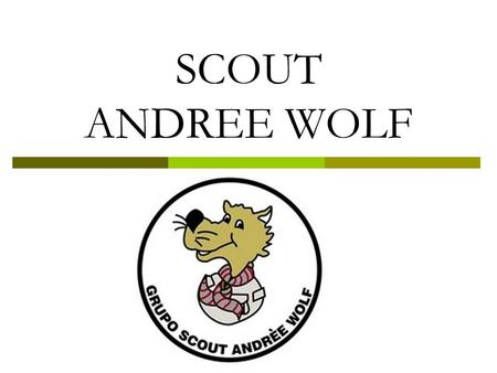 SCOUT ANDREE WOLF.