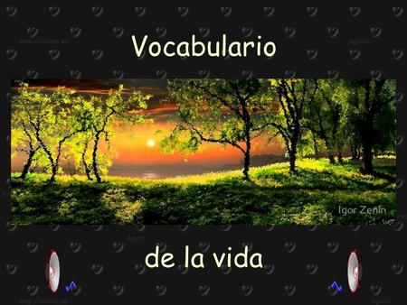 de la vida Vocabulario Adiós: Es cuando un corazón que se va deja la mitad con quien se queda.