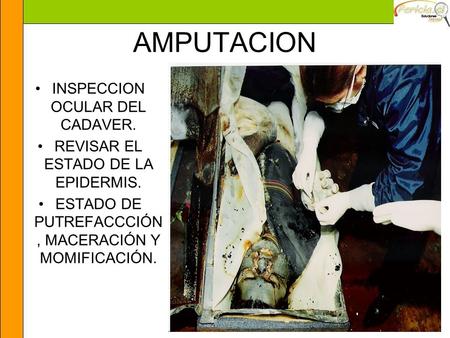 AMPUTACION INSPECCION OCULAR DEL CADAVER.
