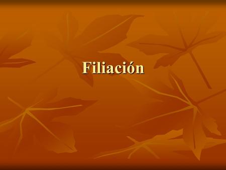 Filiación. ACCION DE IMPUGNACION DE LA MATERNIDAD Y DE RECLAMACIÓN DE LA MATERNIDAD.