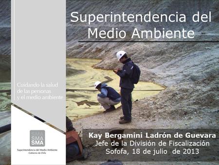 Superintendencia del Medio Ambiente Kay Bergamini Ladrón de Guevara Jefe de la División de Fiscalización Sofofa, 18 de julio de 2013.