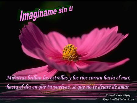 Imagíname sin ti Mientras brillan las estrellas y los ríos corran hacia el mar, hasta el día en que tu vuelvas, se que no te dejaré de amar Presentaciones.