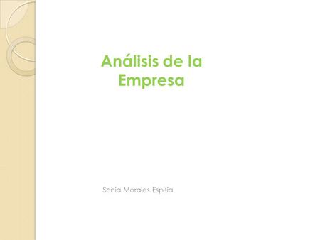Análisis de la Empresa Sonia Morales Espitia.