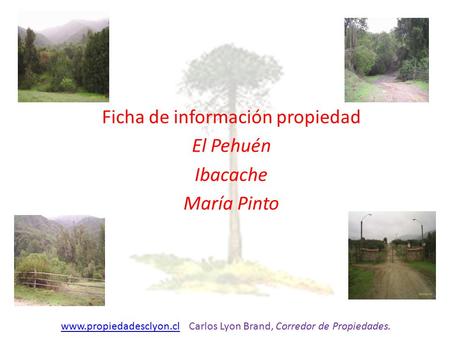Ficha de información propiedad El Pehuén Ibacache María Pinto