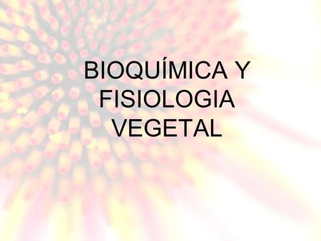 BIOQUÍMICA Y FISIOLOGIA VEGETAL