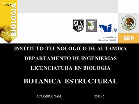 BOTANICA ESTRUCTURAL ALTAMIRA, TAM