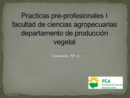 Comisión Nº: 6. Lactuca sativa, la lechuga crespa, es una planta herbácea propia de las regiones semitempladas que se cultiva con fines alimentarios.