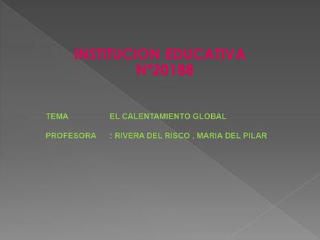 INSTITUCION EDUCATIVA Nª20188