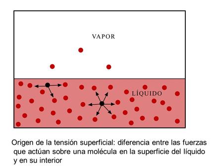 Origen de la tensión superficial: diferencia entre las fuerzas que actúan sobre una molécula en la superficie del líquido y en su interior.