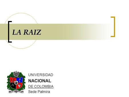 LA RAIZ UNIVERSIDAD NACIONAL DE COLOMBIA Sede Palmira.