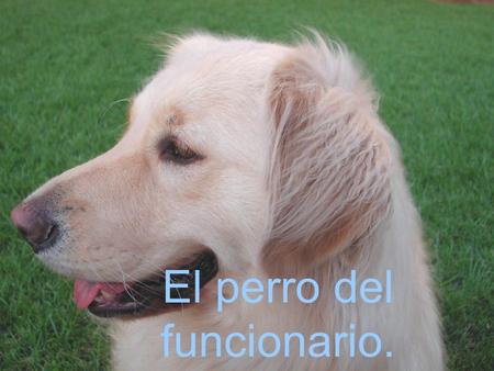 El perro del funcionario.. Un ingeniero, un contable, un químico, un informático y un funcionario se vanaglorian por tener cada uno un maravilloso perro.