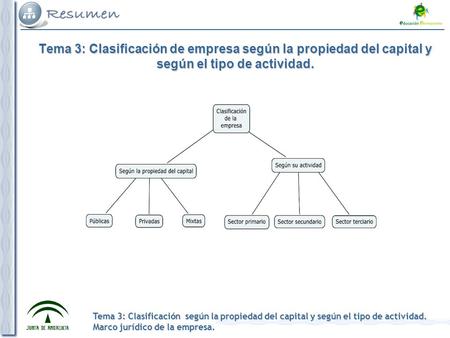 1. Según la propiedad del capital las empresas se clasifican en: Públicas, Privadas y Mixtas