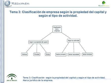 1. Según la propiedad del capital las empresas se clasifican en: Públicas, Privadas y Mixtas