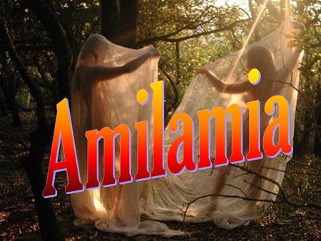 Yo sé que habitas las cuevas que sólo el viento visita en las noches azules con ojos grandes de plenilunio, Amilamia.