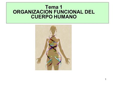 Tema 1 ORGANIZACION FUNCIONAL DEL CUERPO HUMANO