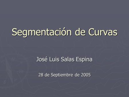 Segmentación de Curvas José Luis Salas Espina 28 de Septiembre de 2005.