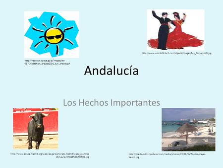 Andalucía Los Hechos Importantes  097_kidstation_project2000_sun_shades.gif
