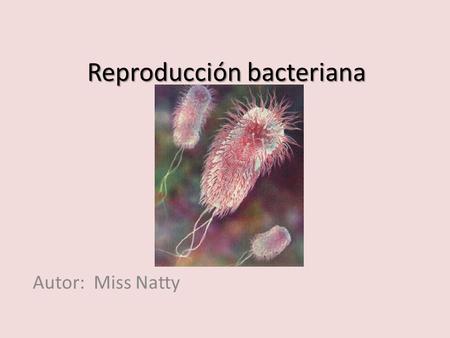 Reproducción bacteriana