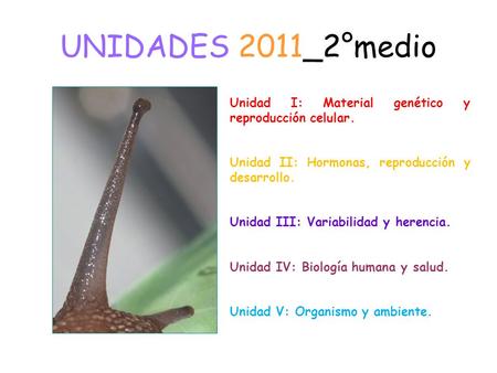 UNIDADES 2011_2°medio Unidad I: Material genético y reproducción celular. Unidad II: Hormonas, reproducción y desarrollo. Unidad III: Variabilidad y herencia.