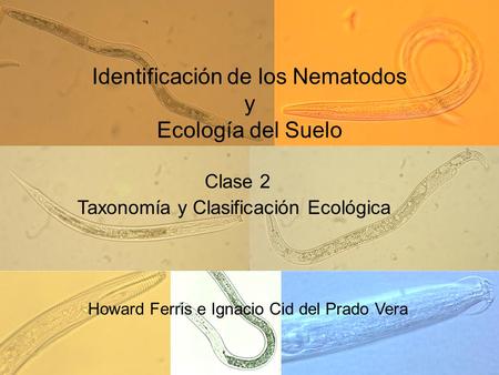 Identificación de los Nematodos y Ecología del Suelo