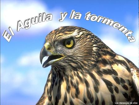 El Aguila y la tormenta.