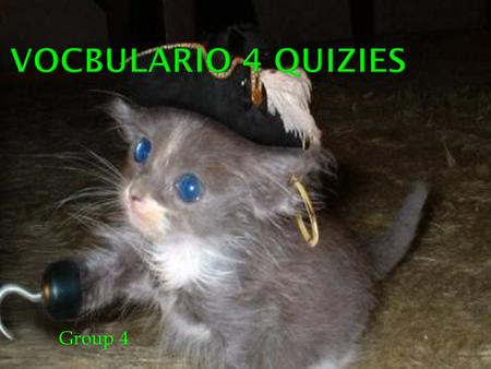 Group 4. To window shop a) Quisiera… b) El vastido c) La gabardina d) Mirar an el escaprate ( la ventrina )