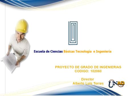 PROYECTO DE GRADO DE INGENIERIAS CODIGO: 102060 Director Alberto Luis Torres.