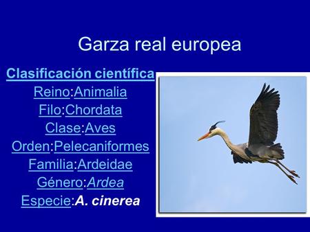 Clasificación científica