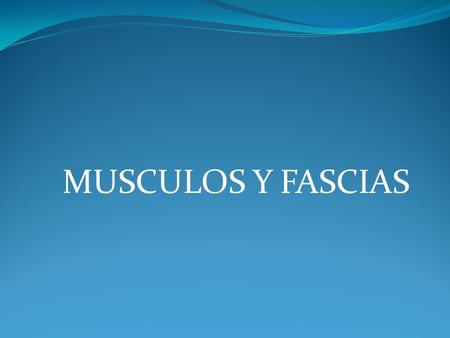 MUSCULOS Y FASCIAS.
