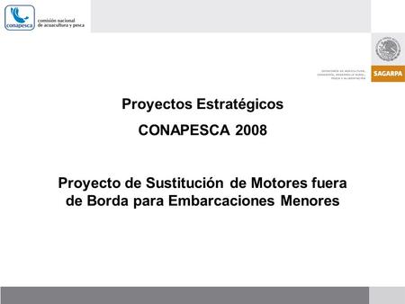 Proyectos Estratégicos