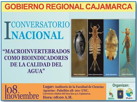 2 OBJETIVOS Socializar las diversas experiencias de otras instituciones en el monitoreo de la calidad de agua a través de macro invertebrados. Proponer.