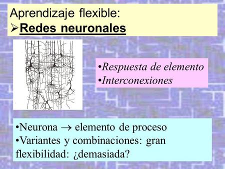 Neurona  elemento de proceso Variantes y combinaciones: gran flexibilidad: ¿demasiada? Aprendizaje flexible:  Redes neuronales Respuesta de elemento.
