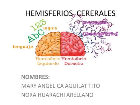 HEMISFERIOS CERERALES NOMBRES: MARY ANGELICA AGUILAT TITO NORA HUARACHI ARELLANO.