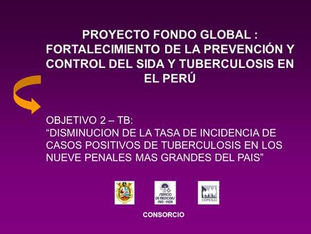 PROYECTO FONDO GLOBAL : FORTALECIMIENTO DE LA PREVENCIÓN Y CONTROL DEL SIDA Y TUBERCULOSIS EN EL PERÚ OBJETIVO 2 – TB: “DISMINUCION DE LA TASA DE INCIDENCIA.