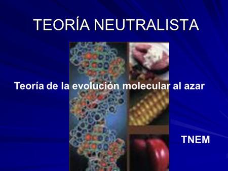 TEORÍA NEUTRALISTA Teoría de la evolución molecular al azar TNEM.