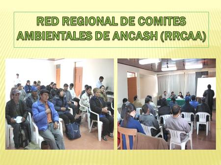 COMITÉ AMBIENTAL DE ASOCIACIÓN MULTISECTORIAL AYASH. COMISIÓN DE GESTIÓN DE MEDIO AMBIENTE DE HUALLANCA (COGEMA). COMITÉ DE MONITOREO, VIGILANCIA Y FISCALIZACIÓN.
