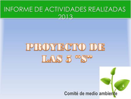 Comité de medio ambiente INFORME DE ACTIVIDADES REALIZADAS 2013.