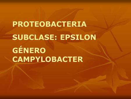PROTEOBACTERIA SUBCLASE: EPSILON GÉNERO CAMPYLOBACTER.