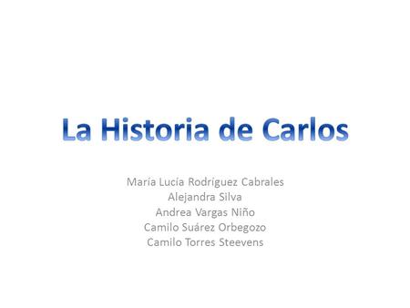 María Lucía Rodríguez Cabrales Alejandra Silva Andrea Vargas Niño Camilo Suárez Orbegozo Camilo Torres Steevens.
