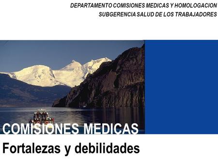 DEPARTAMENTO COMISIONES MEDICAS Y HOMOLOGACION SUBGERENCIA SALUD DE LOS TRABAJADORES COMISIONES MEDICAS Fortalezas y debilidades.