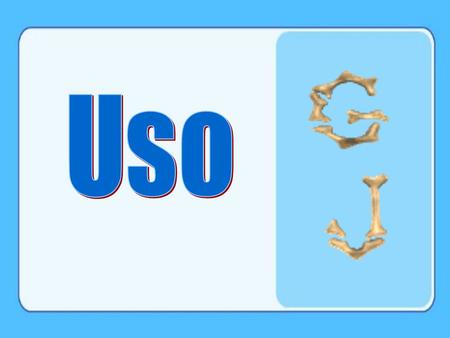 Uso.