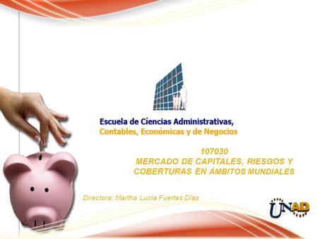 107030 MERCADO DE CAPITALES, RIESGOS Y COBERTURAS EN ÁMBITOS MUNDIALES Directora: Martha Lucía Fuertes Díaz.
